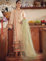 Rang Rasiya LE-D-13 Kiwi