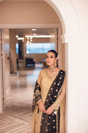 Rang Rasiya Ritzier Wedding Formals Unstitched 3Pc Suit - NISHA