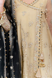Rang Rasiya Ritzier Wedding Formals Unstitched 3Pc Suit - NISHA