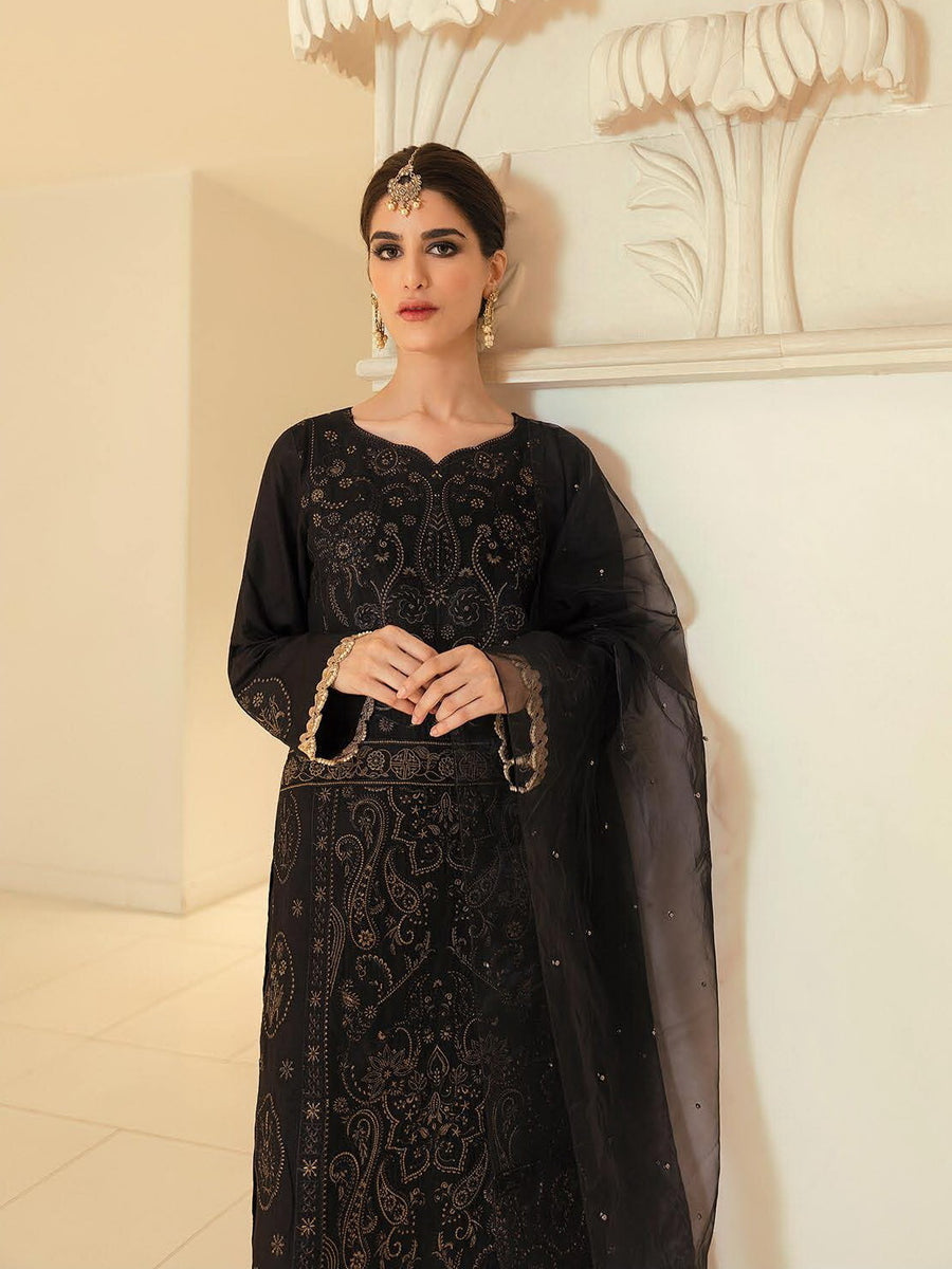 RajBari Fall Winter Embroidered ChikanKari Unstitched 3 Piece Suit - 07B - FaisalFabrics.pk