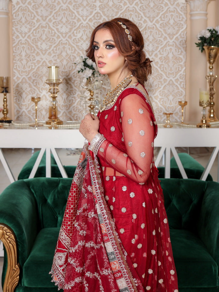 LYLA Raqs e Bismil Luxury Formal Unstitched Embroidered Net Suit D-06