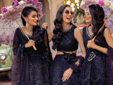 MUSHQ Tissue De Luxe Unstitched Kalidaar Chiffon 3Pc Suit SDL21-04 - FaisalFabrics.pk