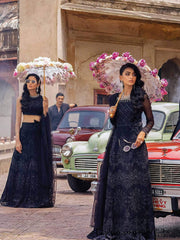 MUSHQ Tissue De Luxe Unstitched Kalidaar Chiffon 3Pc Suit SDL21-04 - FaisalFabrics.pk