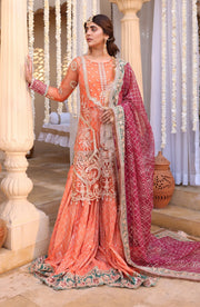Surmai Heer A Folk Tale Embroidered Luxury Formal Suit SF-02 HEER