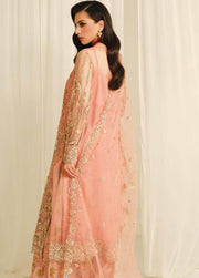 Re Verie by Shamrock SFD-0058 MEERAH