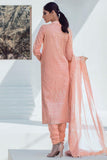 Alkaram Spring Summer Vol-01 Foil Slub Lawn 3pc Suit SS-16.1-21-Pink - FaisalFabrics.pk
