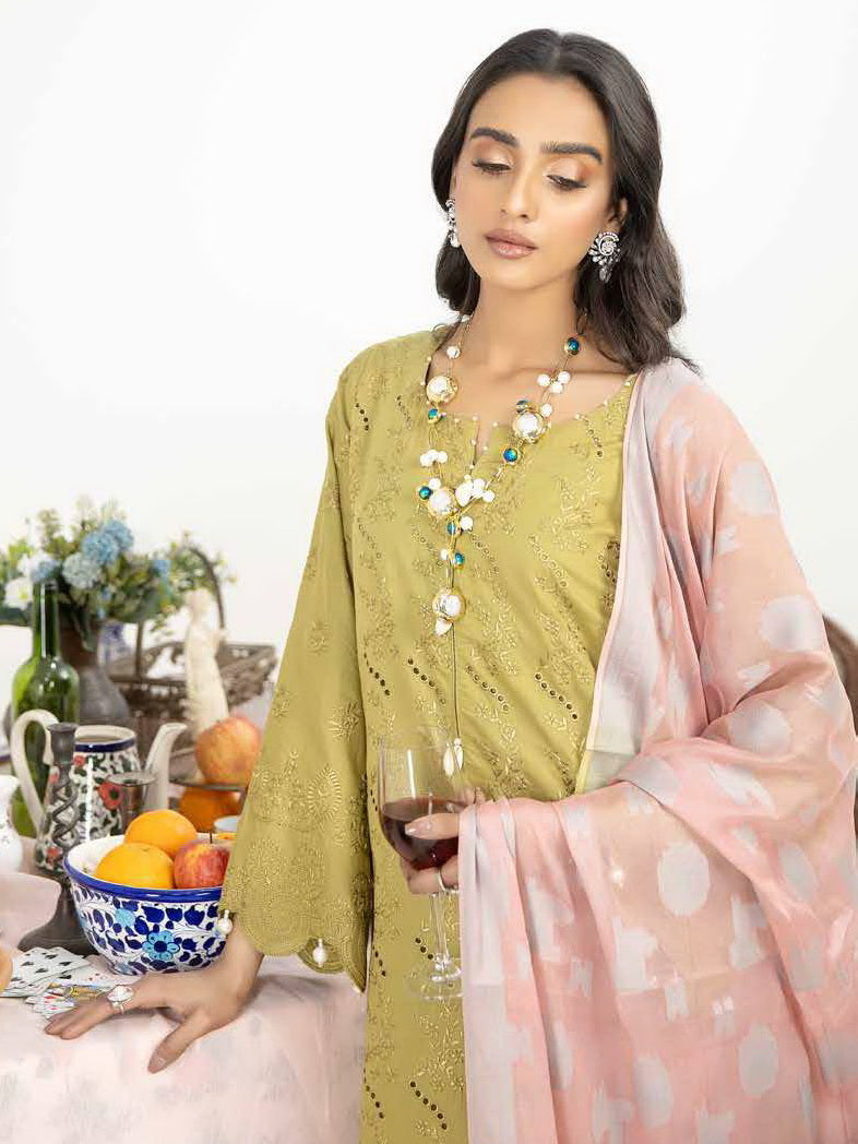 Tehzeeb by Riaz Arts Schiffli Chikankari Lawn Unstitched 3 Piece TL-25
