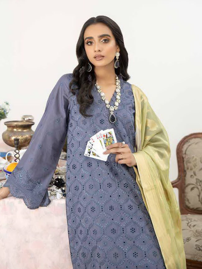 Tehzeeb by Riaz Arts Schiffli Chikankari Lawn Unstitched 3 Piece TL-28