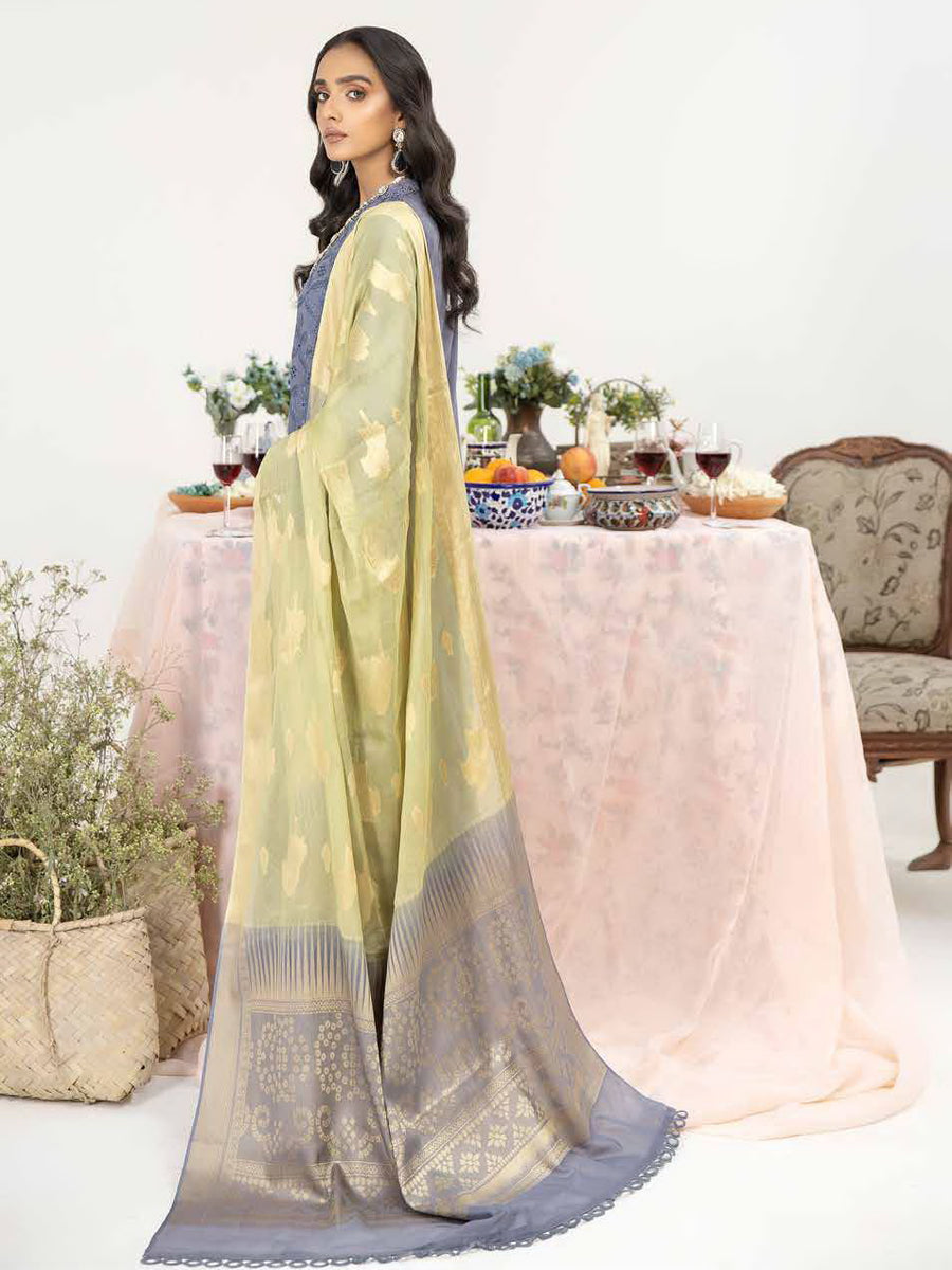 Tehzeeb by Riaz Arts Schiffli Chikankari Lawn Unstitched 3 Piece TL-28