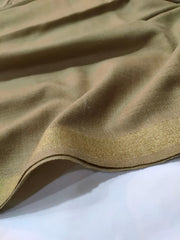 Womens Pashmina Wool Shawl with Banarasi Border RK21-69 - FaisalFabrics.pk