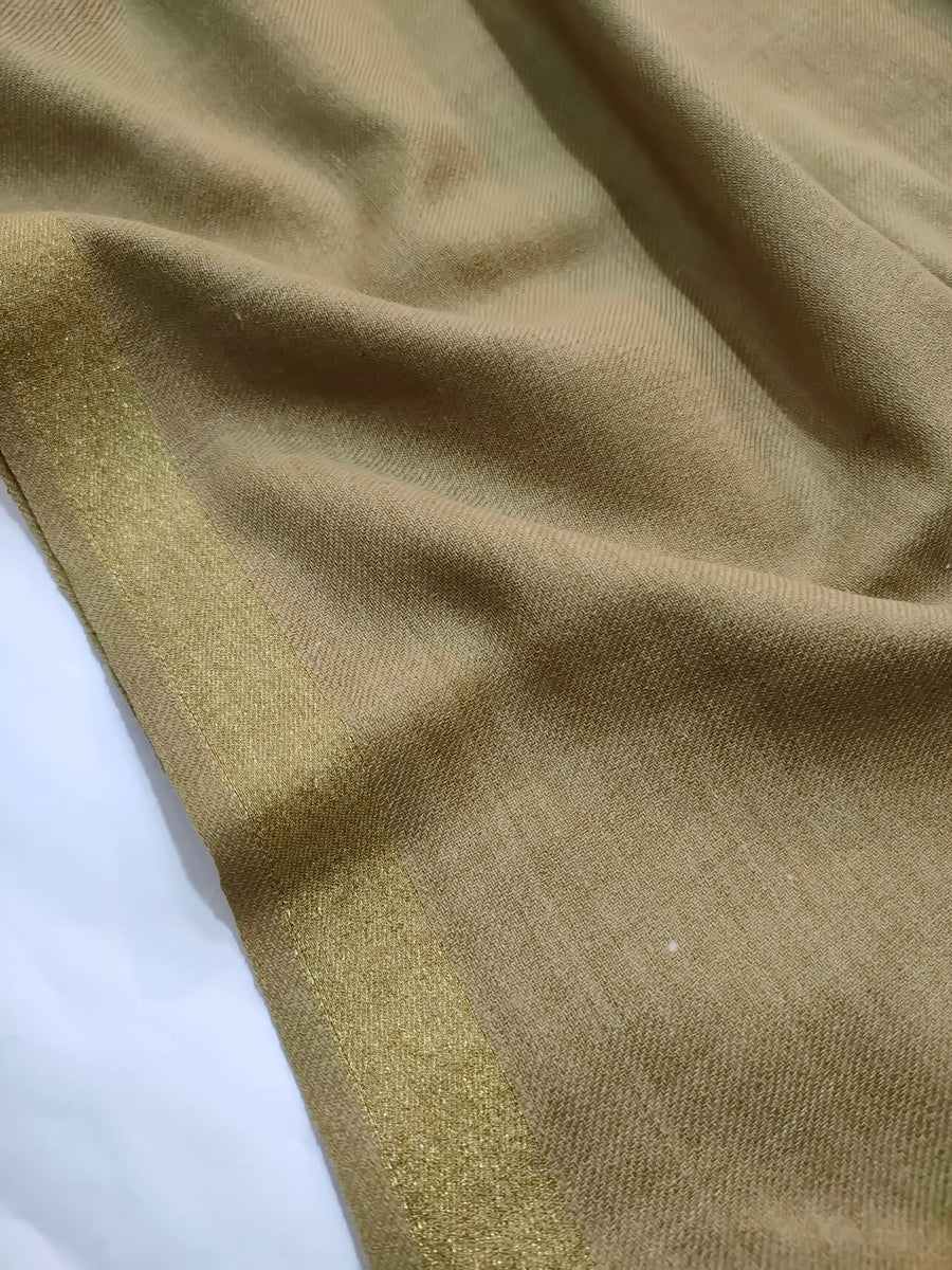 Womens Pashmina Wool Shawl with Banarasi Border RK21-69 - FaisalFabrics.pk