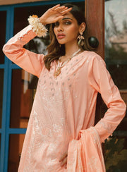 RAAYA D-01 PEACH CHIC