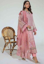 Avyana Gulmehr D-06 Kanwal